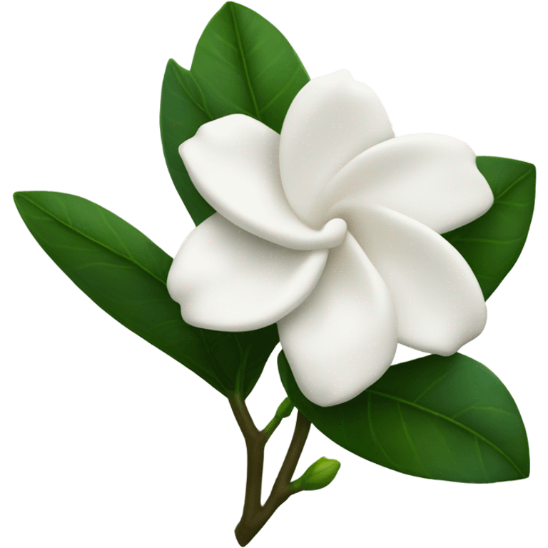 Gardenia emoji