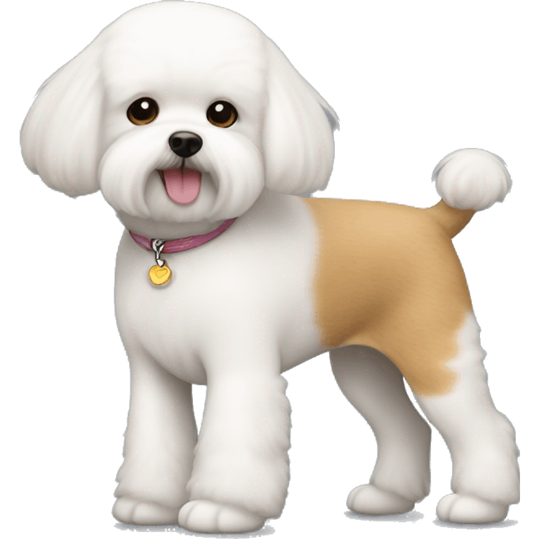 Dog bichon frise with ginger girl emoji