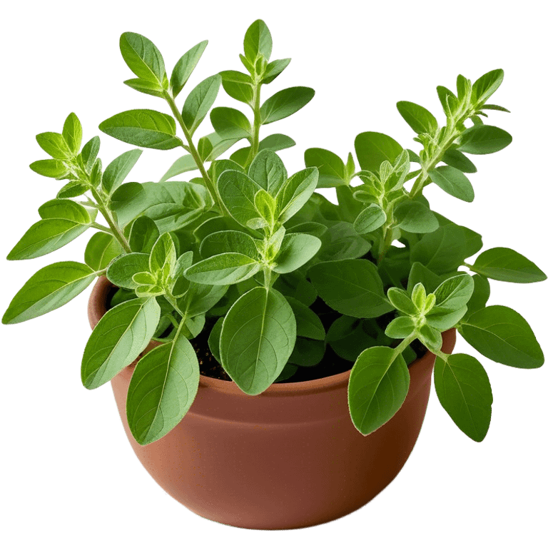 Cinematic Realistic Oregano Emoji, Bold and aromatic, with dark green leaves that radiate flavor and warmth. The plant’s rounded leaves create a lush, hearty growth, while the distinct scent invites comfort and coziness. Soft glowing outline, capturing the essence of bold flavor and herbal richness in a sprig of oregano! emoji