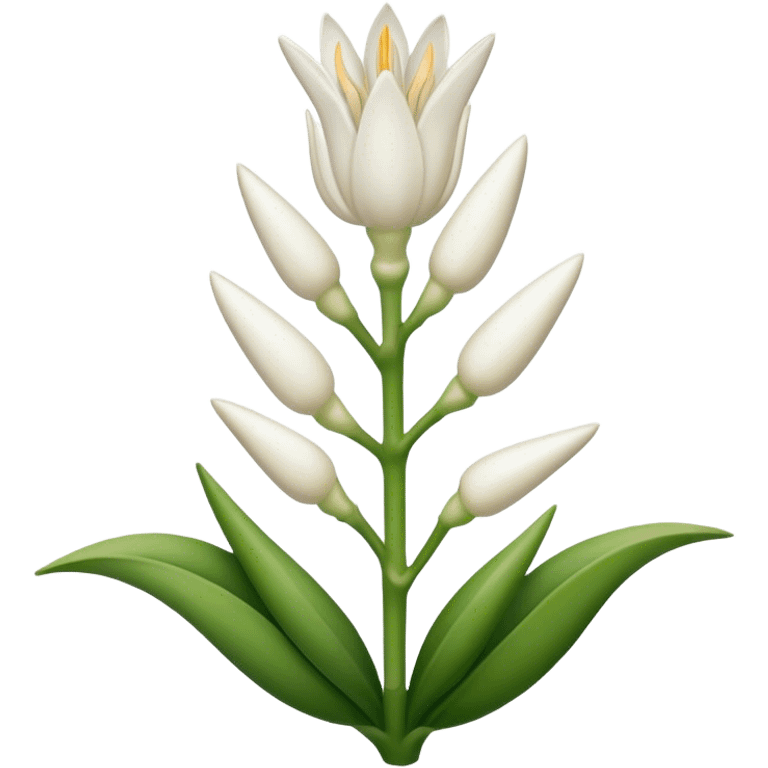 Tuberose beautiful  emoji