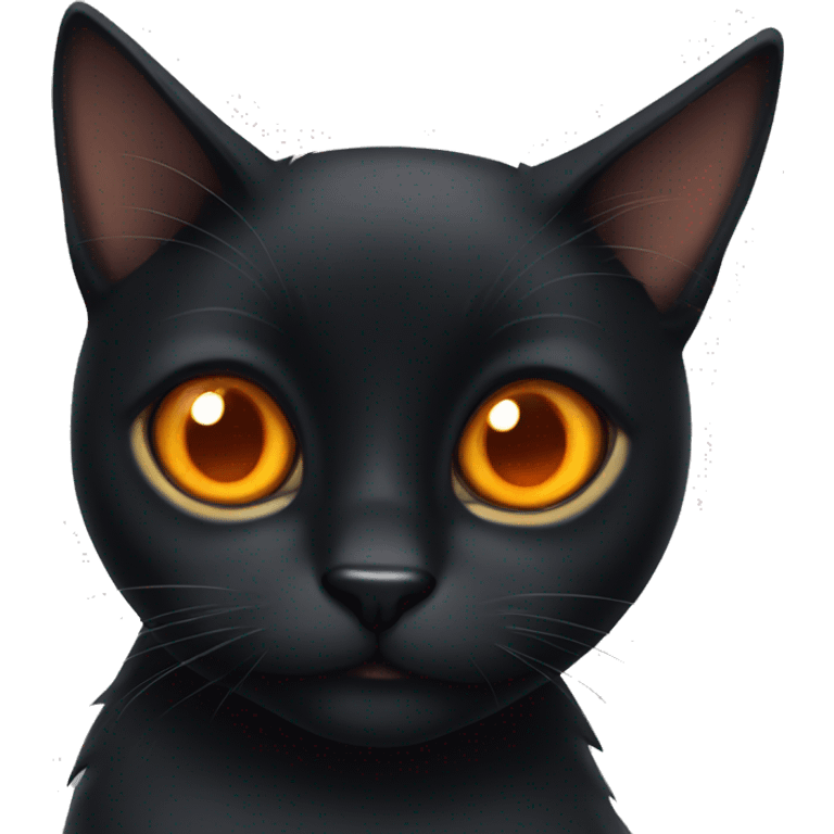 Black cat with orange eyes  emoji