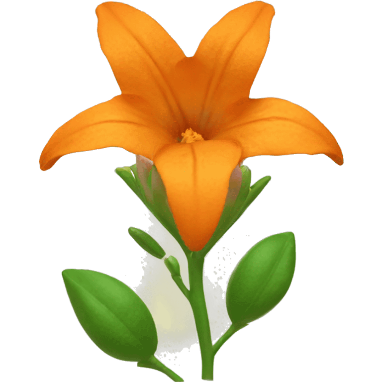 orange bellflower with 4 flowers emoji