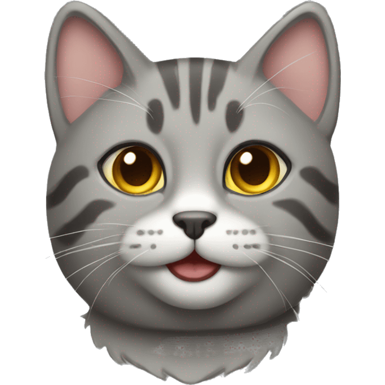 tabby gray cat  emoji