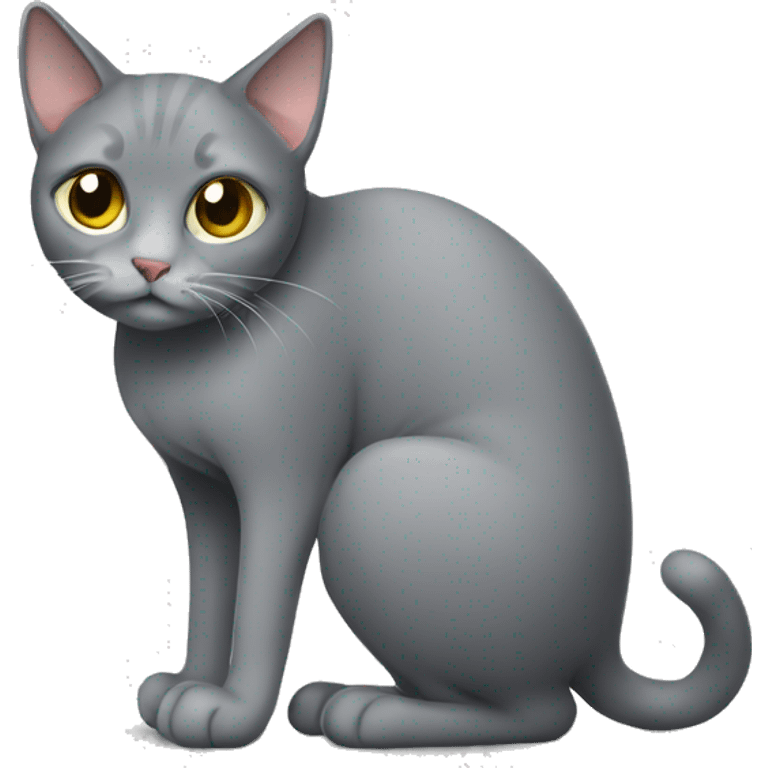 a grey cat peeing on floor emoji