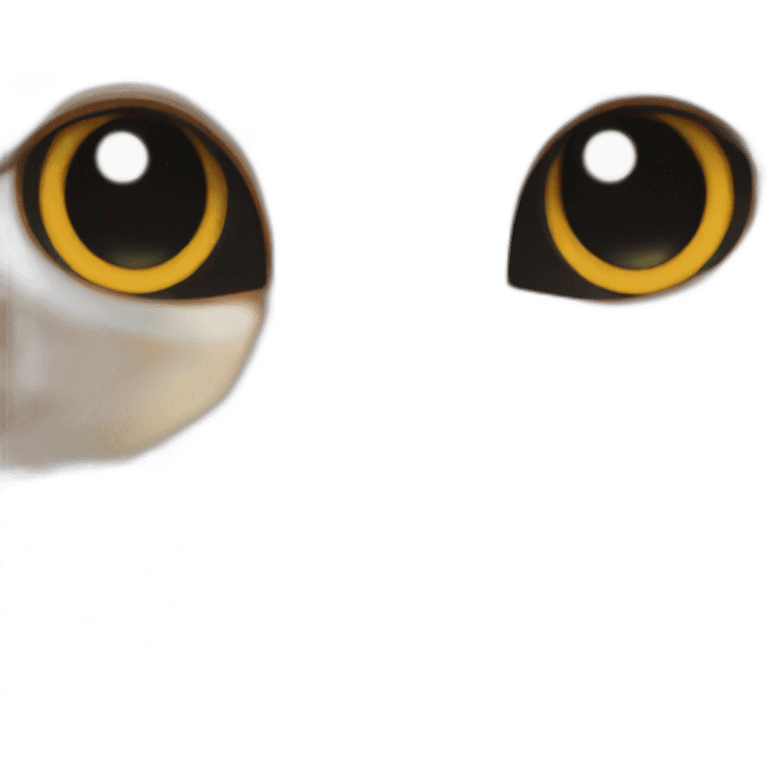 cat with eyes closed close up emoji