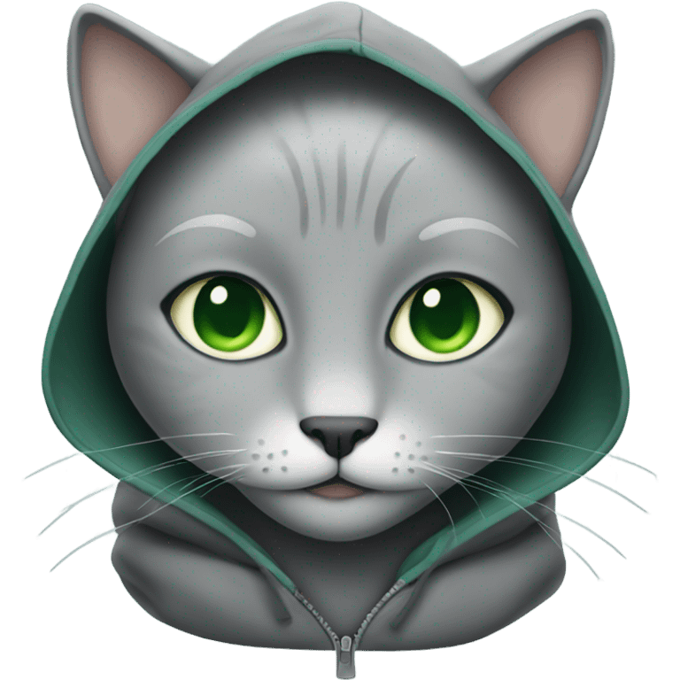 Grey cat with green eyes wearing hoodie  emoji