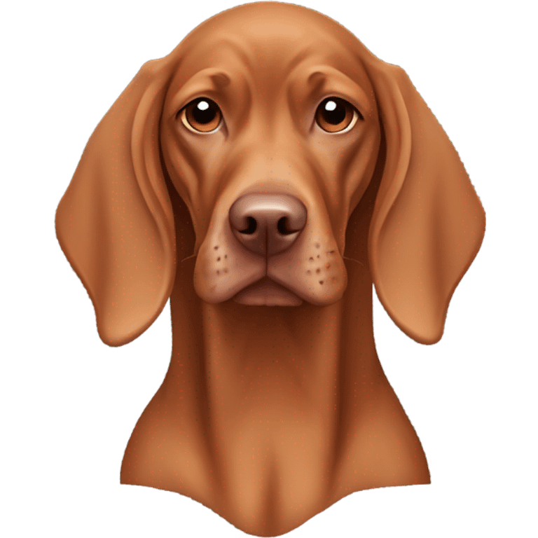 Hungarian vizla American type female wearing a hoodie emoji