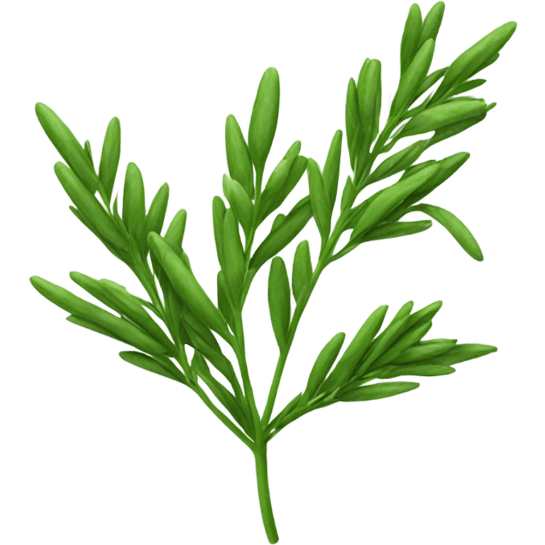 tarragon branch emoji