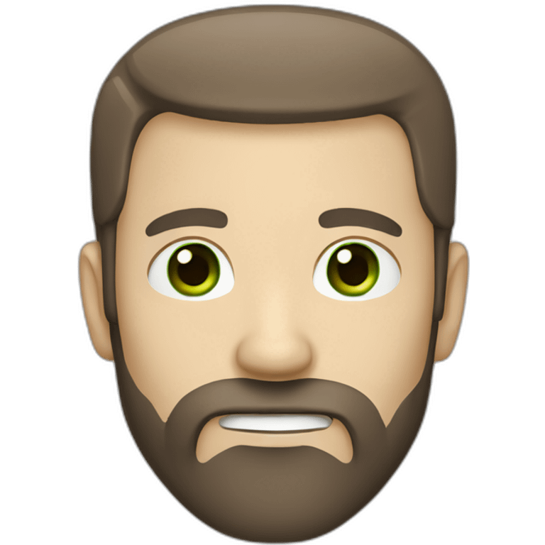 Grey temple dark brown thin face white guy with green eyes and a brown beard emoji