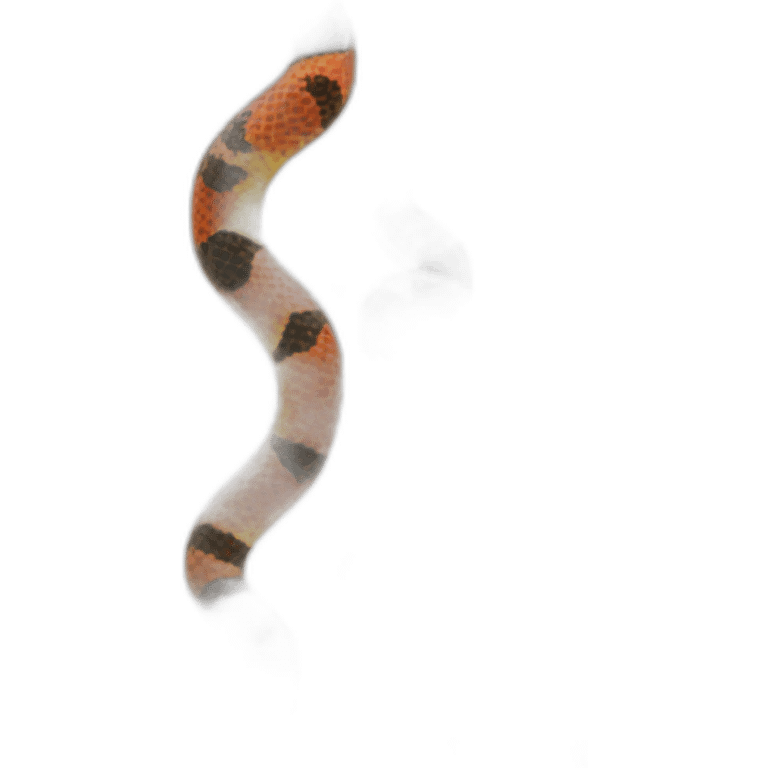 coral snake emoji