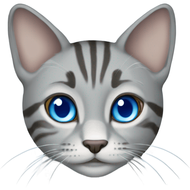 Grey tabby cat with blue eyes emoji