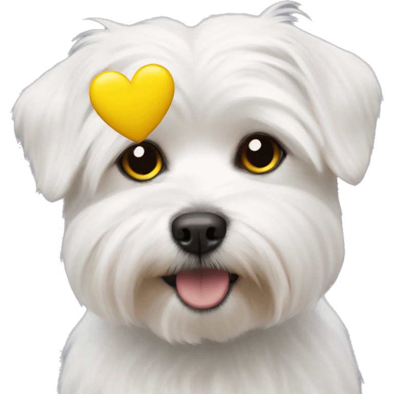 Maltese and yellow heart emoji