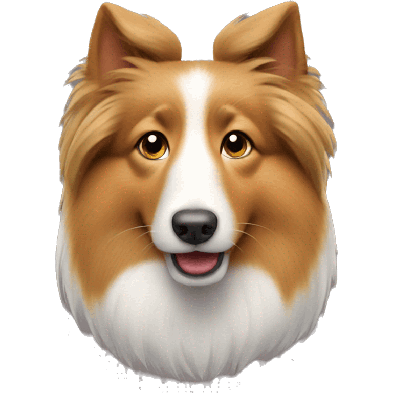 Shetland sheepdog  emoji