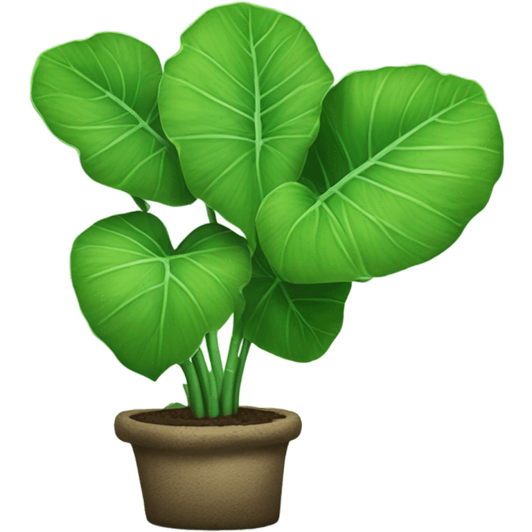 taro plant  emoji