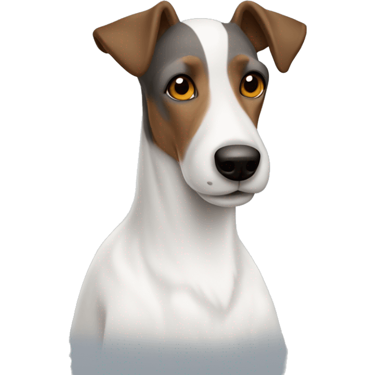 Old Smooth Fox Terrier grey white dark brown wearing a sweater emoji