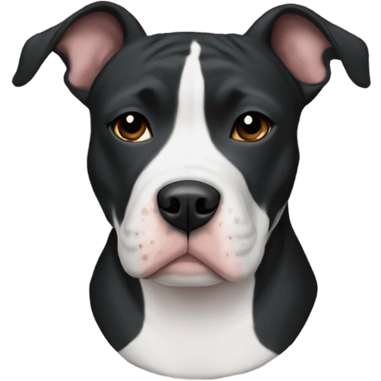 Black and White pitbull on a blanket  emoji