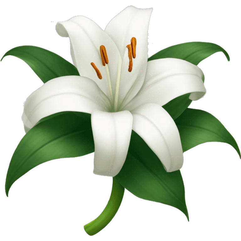 White lillies witha ribbon emoji