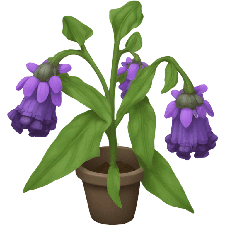 Comfrey emoji