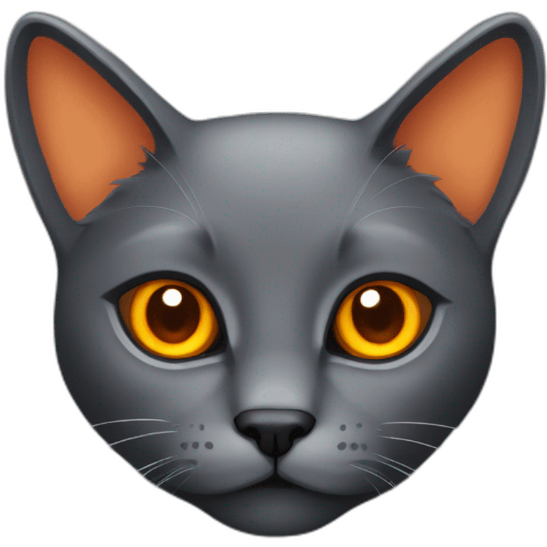 Dark gray cat with orange eyea emoji