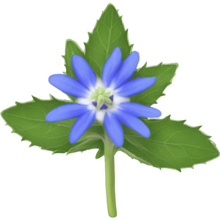 borage flower emoji