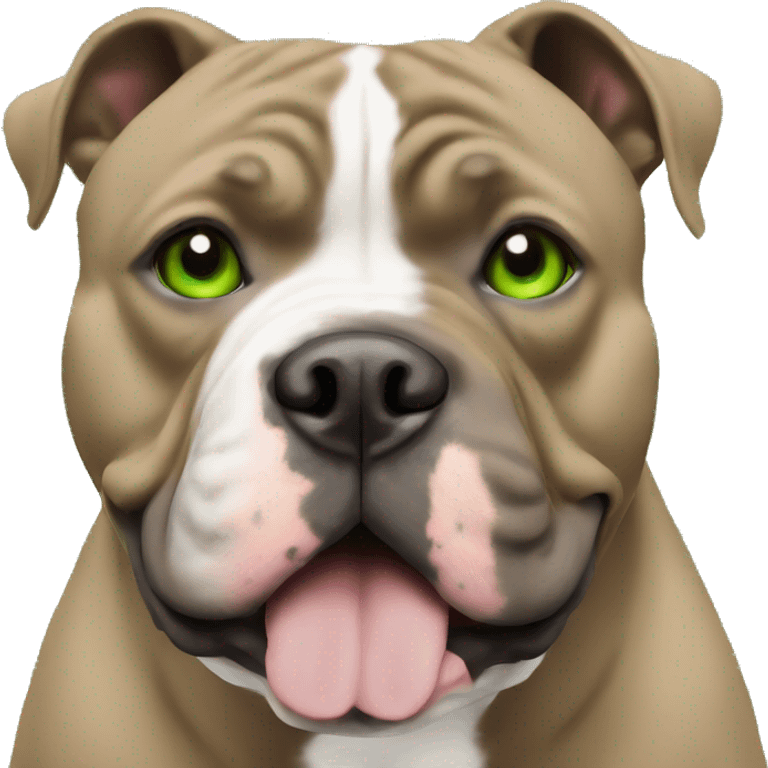 American Bully Pocket brown with green eyes emoji