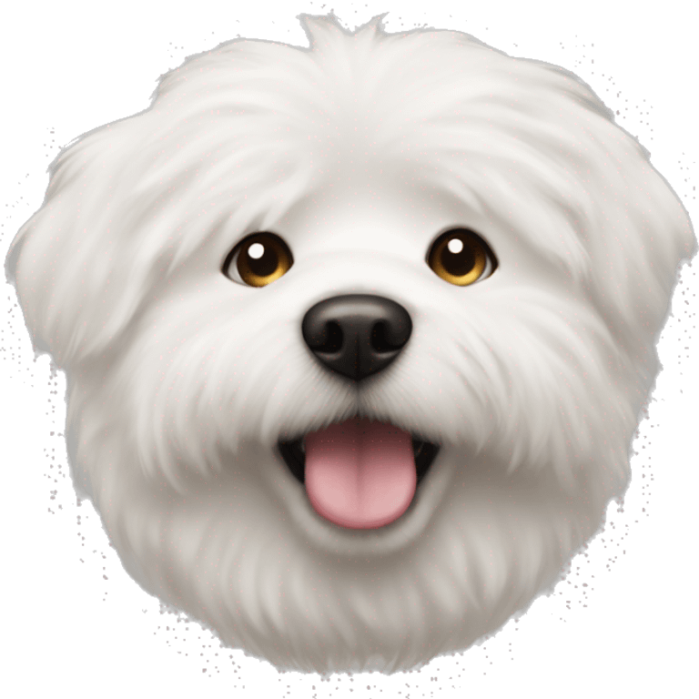 white fluffy dog meatball nose face  emoji