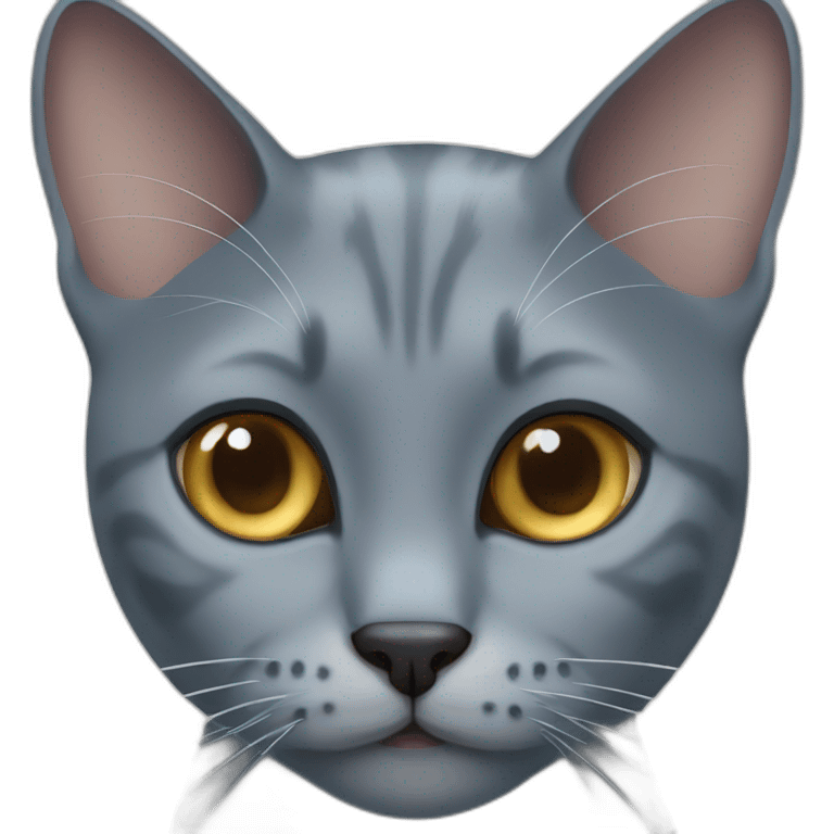 Grey cat blue eyes emoji