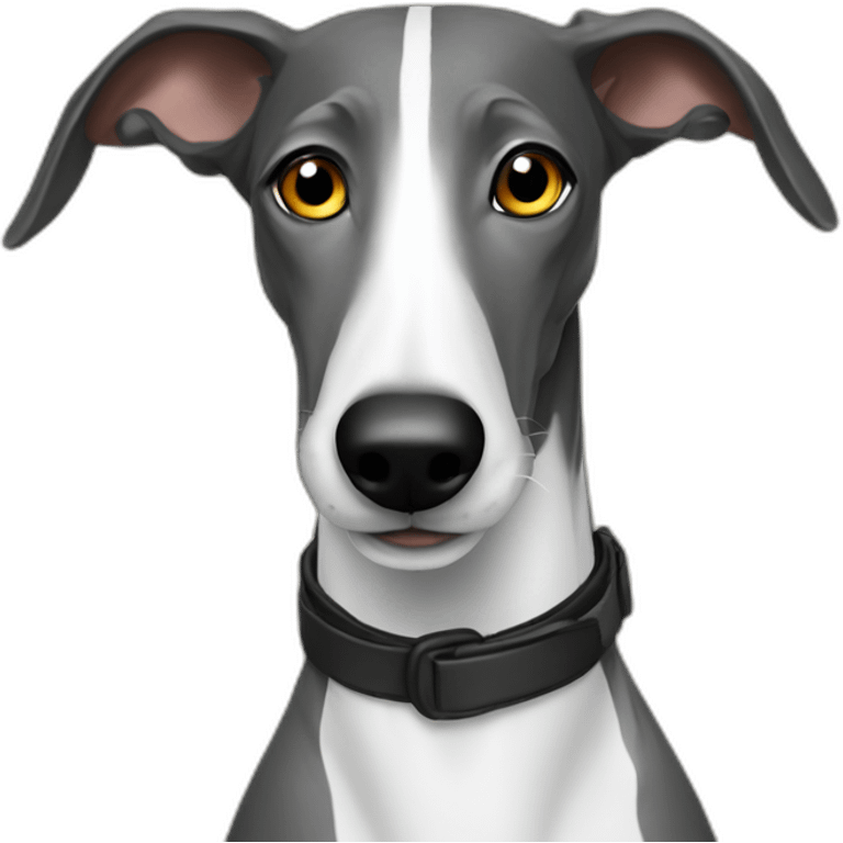 Galgo disck jockey emoji