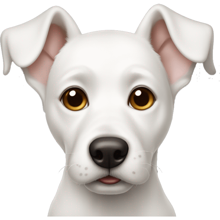 white dog with one brown ear emoji