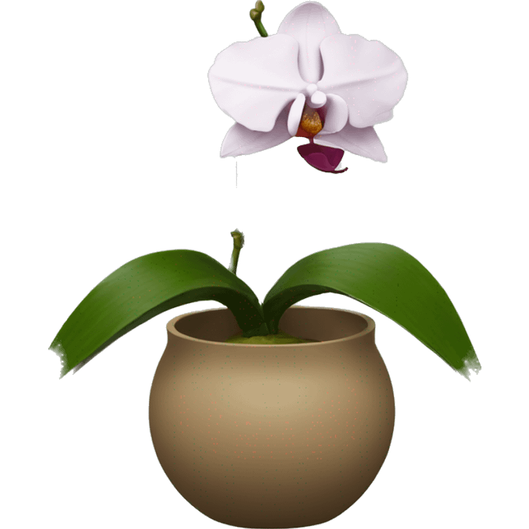 Ikebana orchid emoji