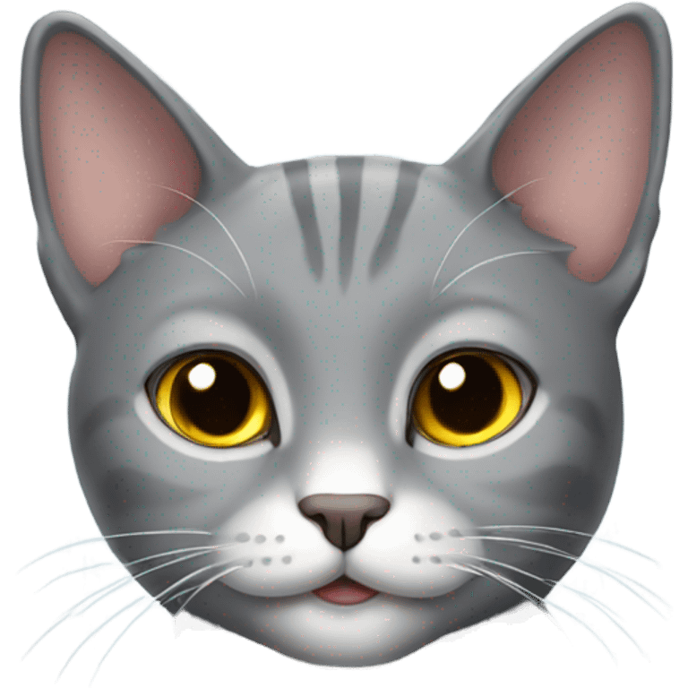 Grey cat emoji