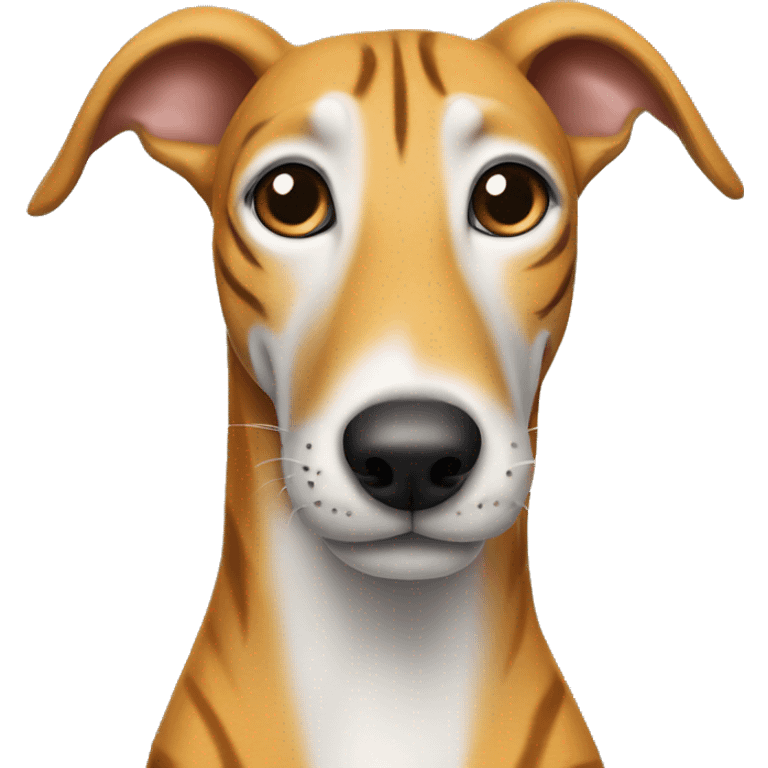 tiger greyhound on its and nose. is standing emoji