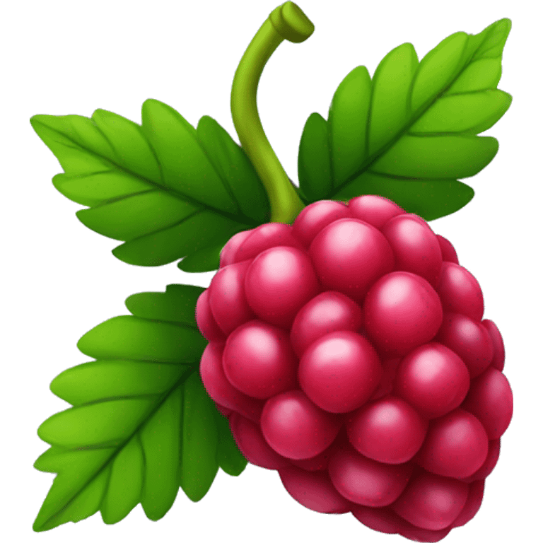 Raspberry  emoji