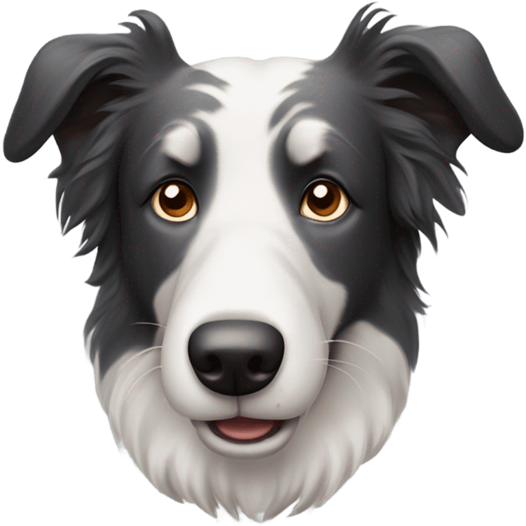 A old boarder collie dog emoji