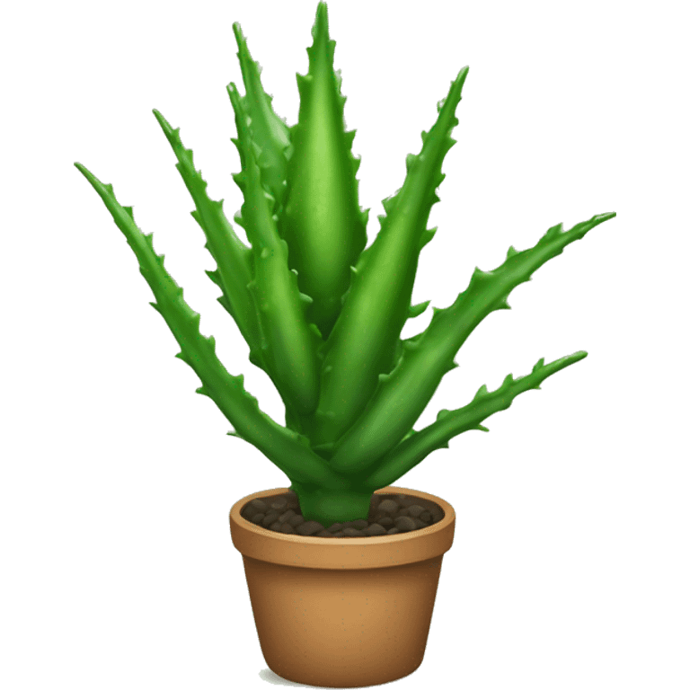 Aloe plant  emoji