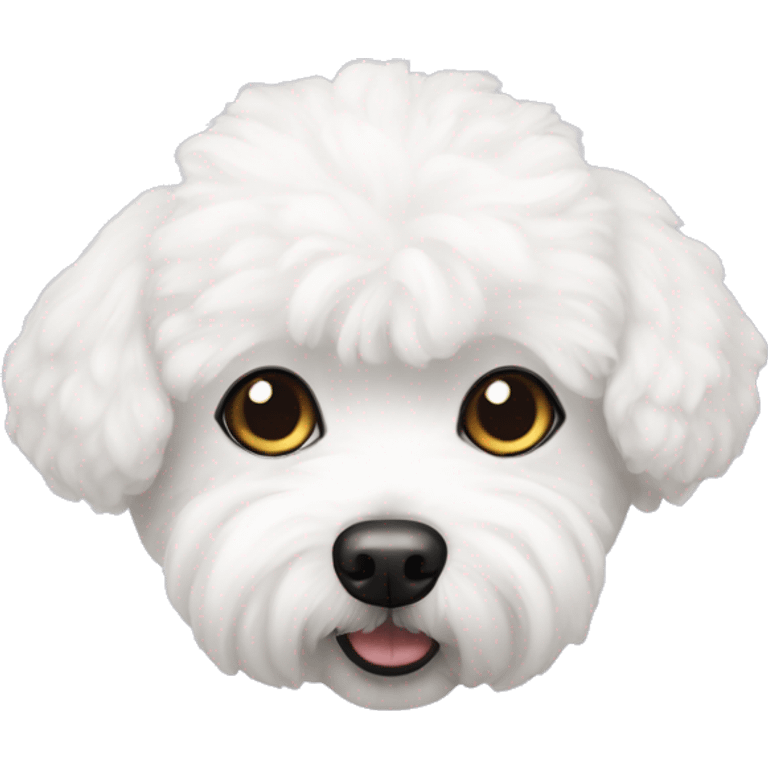 bichon frise emoji