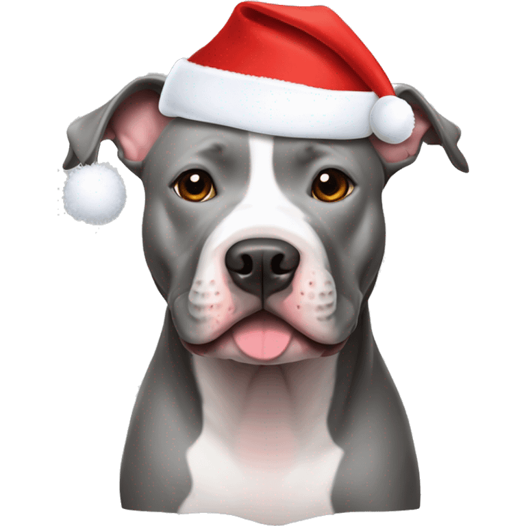 grey pit bull wearing santa hat emoji