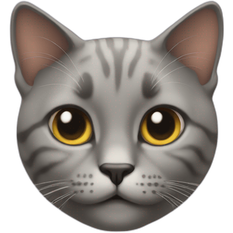 chatte emoji