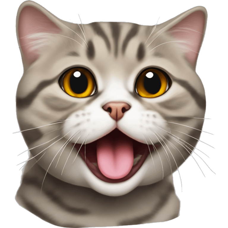 Scottish fold tabby cat with tongue sticking out emoji