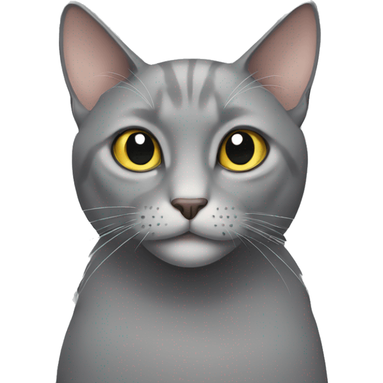 Older grey cat emoji