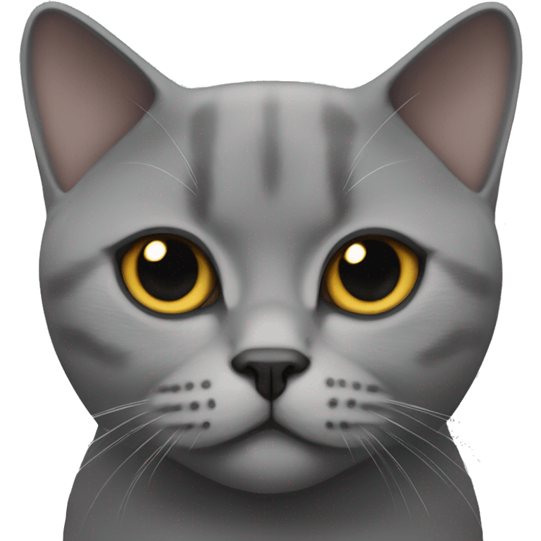 British shorthair cat face darker emoji