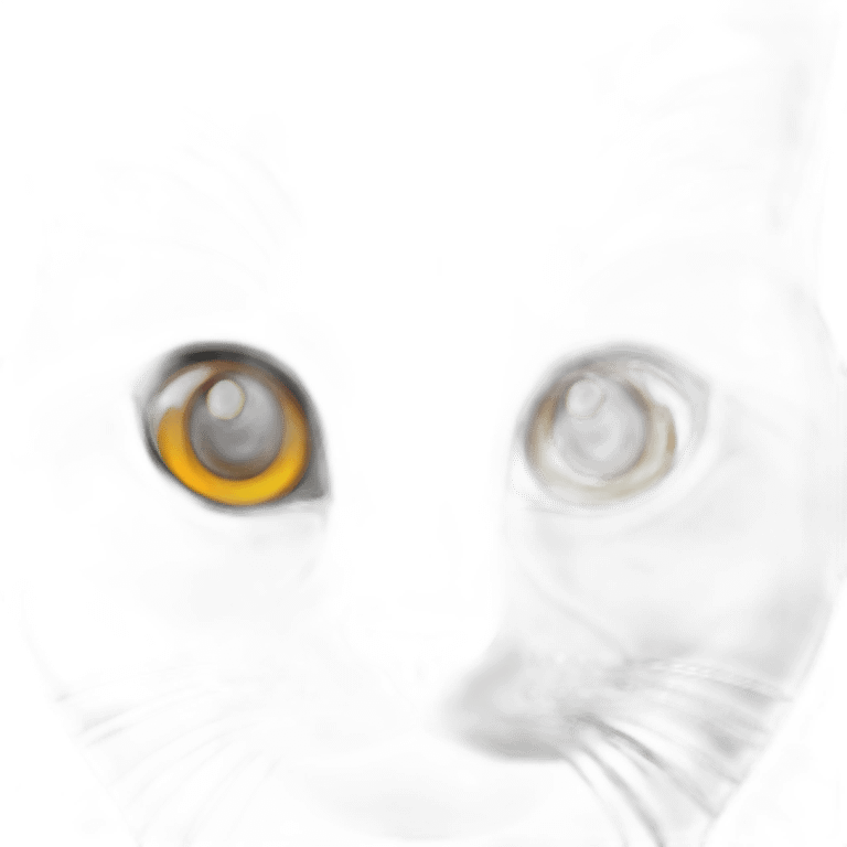 make a british cat with orange eyes emoji