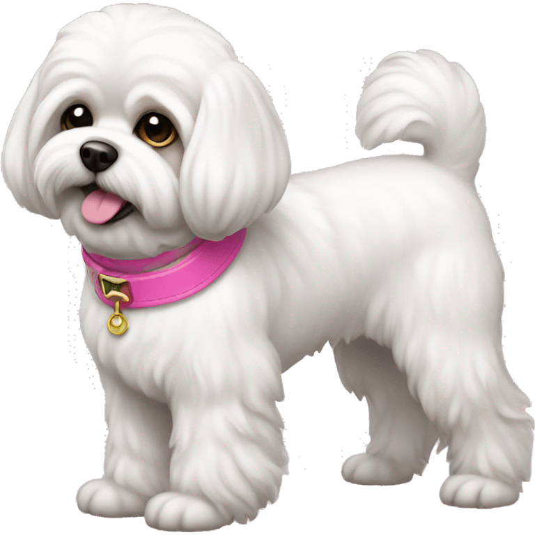 White Shichon dog with pink collar  emoji