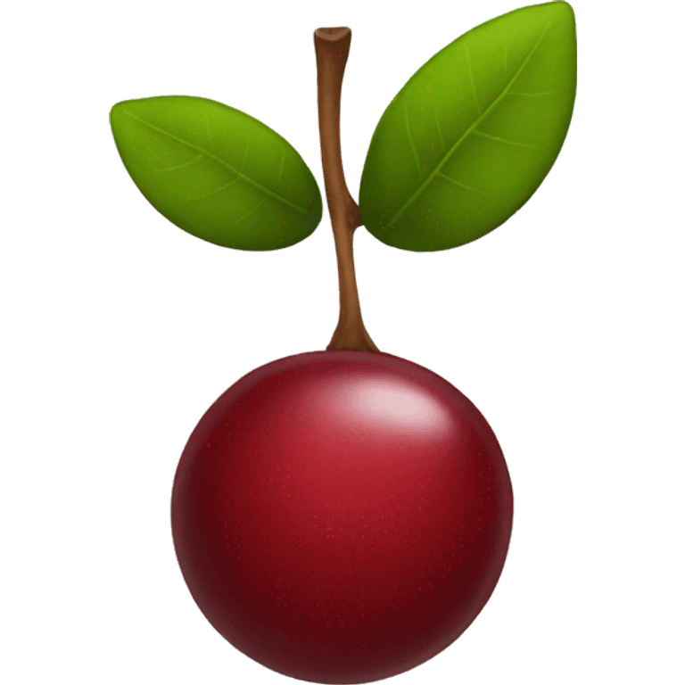 Cranberry  emoji