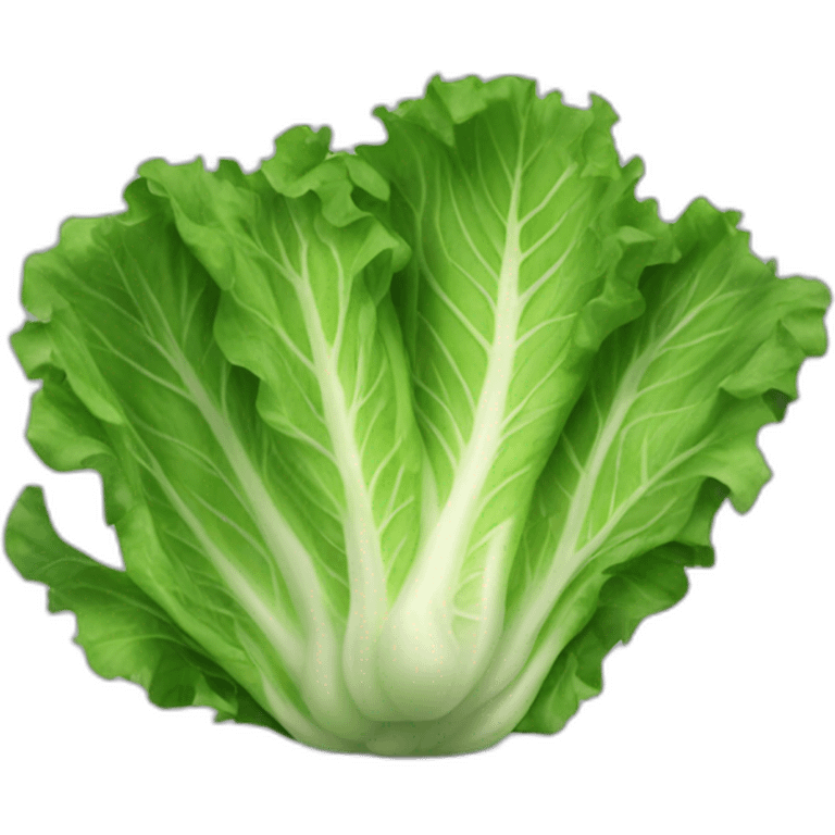 lettuce emoji