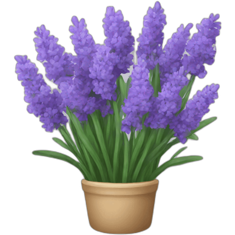 A bouquet of lavenders emoji