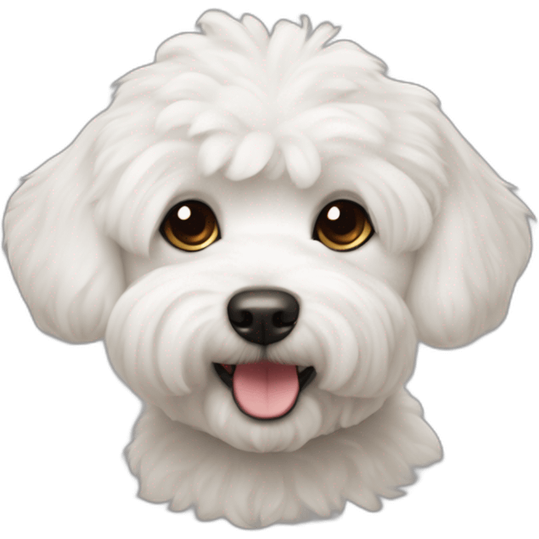 Dog bichon maltés emoji