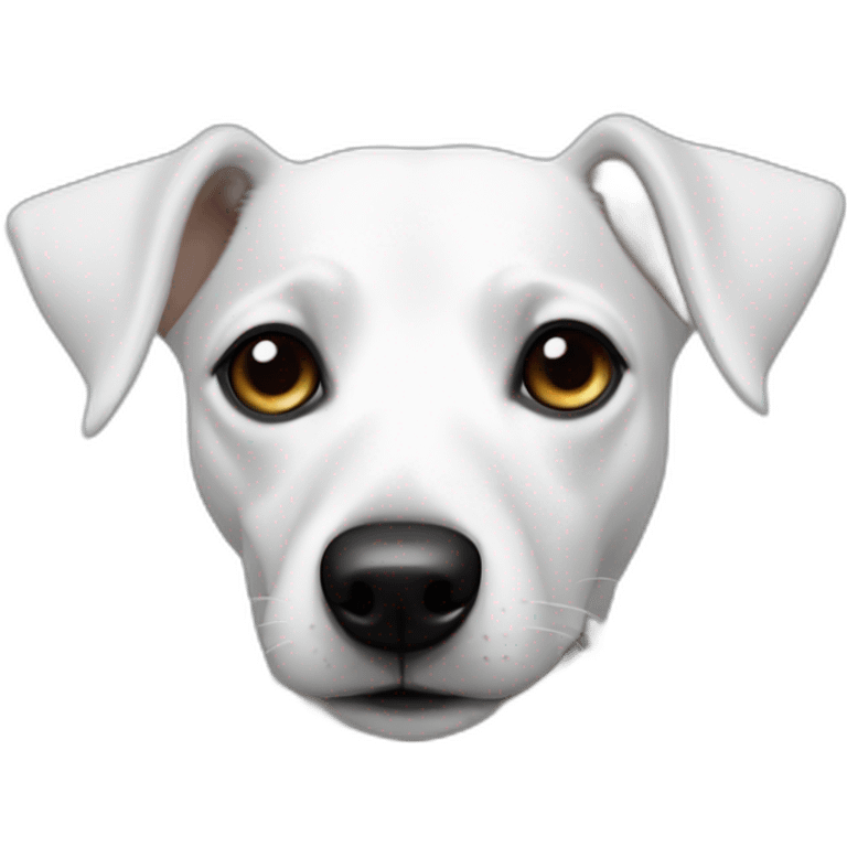 Full white jack russel with straight raise black ears and the left eye emoji