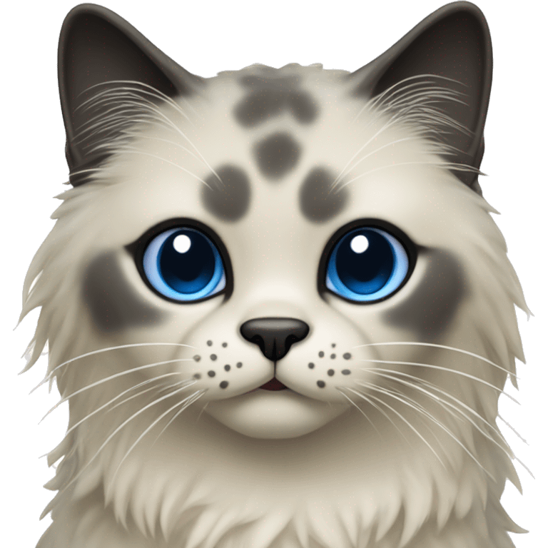 Seal point rag doll cat with dark face and blue eyes emoji