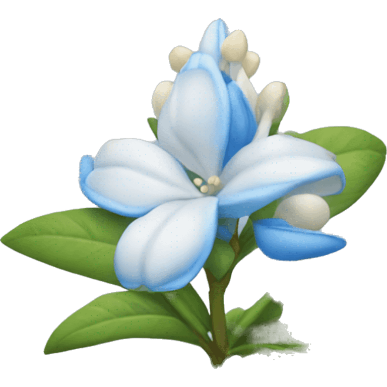 blue jasmine flower emoji